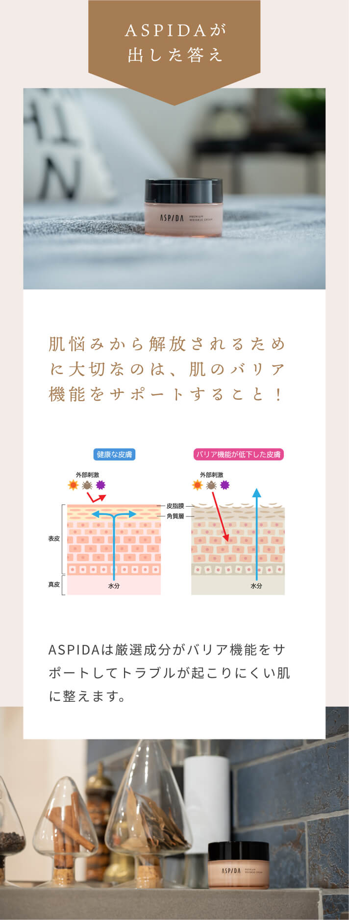 [ASPIDAが出した答え]肌悩みから解放されるために大切なのは、肌のバリア機能をサポートすること！ASPIDAは厳選成分がバリア機能をサポートしてトラブルが起こりにくい肌に整えます。